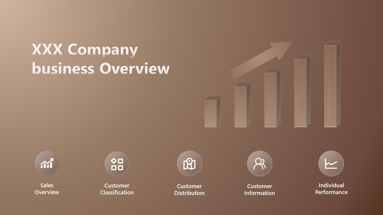 XXX Company Business Overview