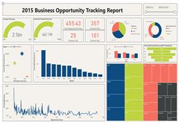 Business Opportunity Tracking